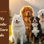 Big-Fluffy-Dog-Breeds-Guide-to-Care-Breeds-scaled.webp